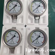 不锈钢蒸汽压力表